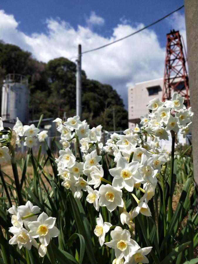 Izu Shirada Villa 伊豆白田家 Higasiizu Kültér fotó